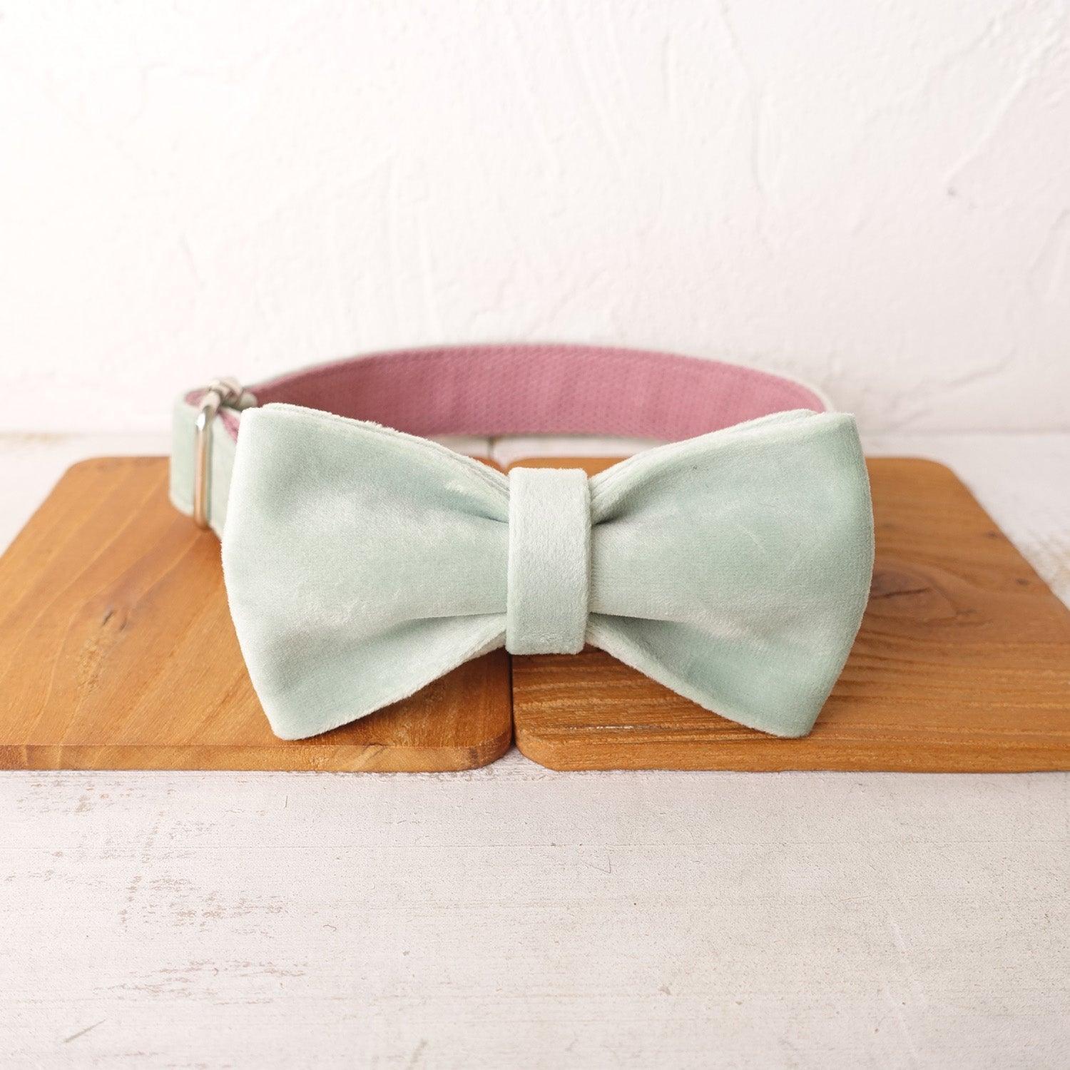 Mint Purple Personalized Dog Collar Set - iTalkPet