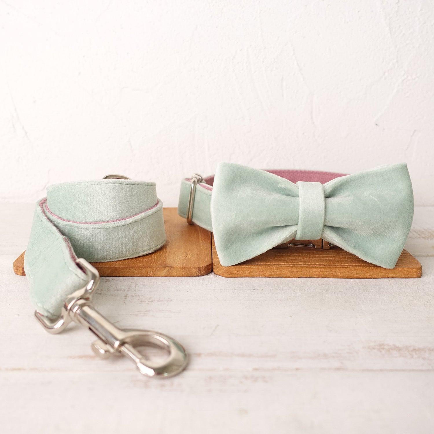 Mint Purple Personalized Dog Collar Set - iTalkPet