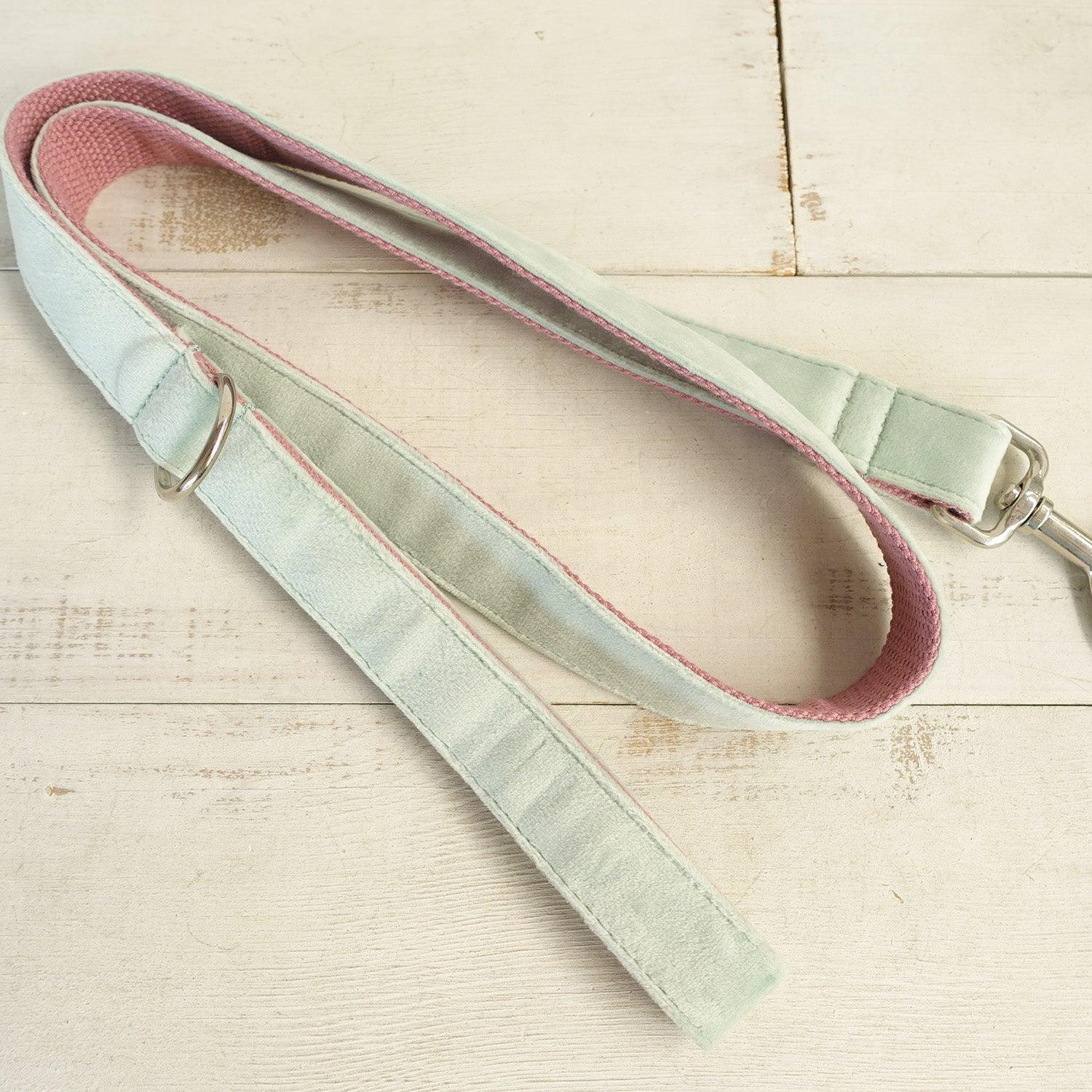 Mint Purple Personalized Dog Collar Set - iTalkPet