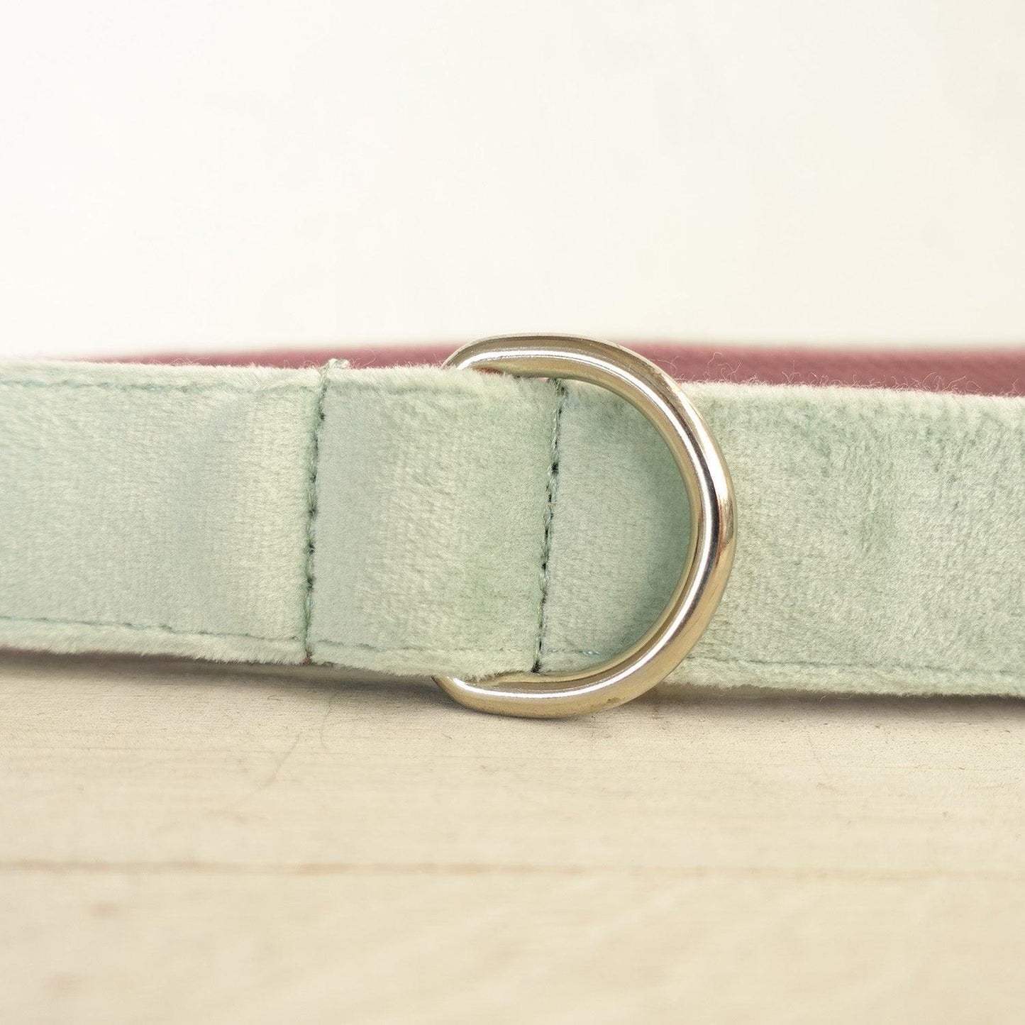 Mint Purple Personalized Dog Collar Set - iTalkPet