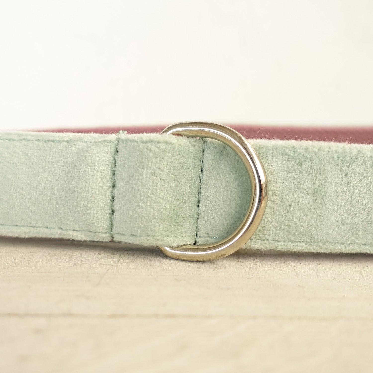 Mint Purple Personalized Dog Collar Set - iTalkPet