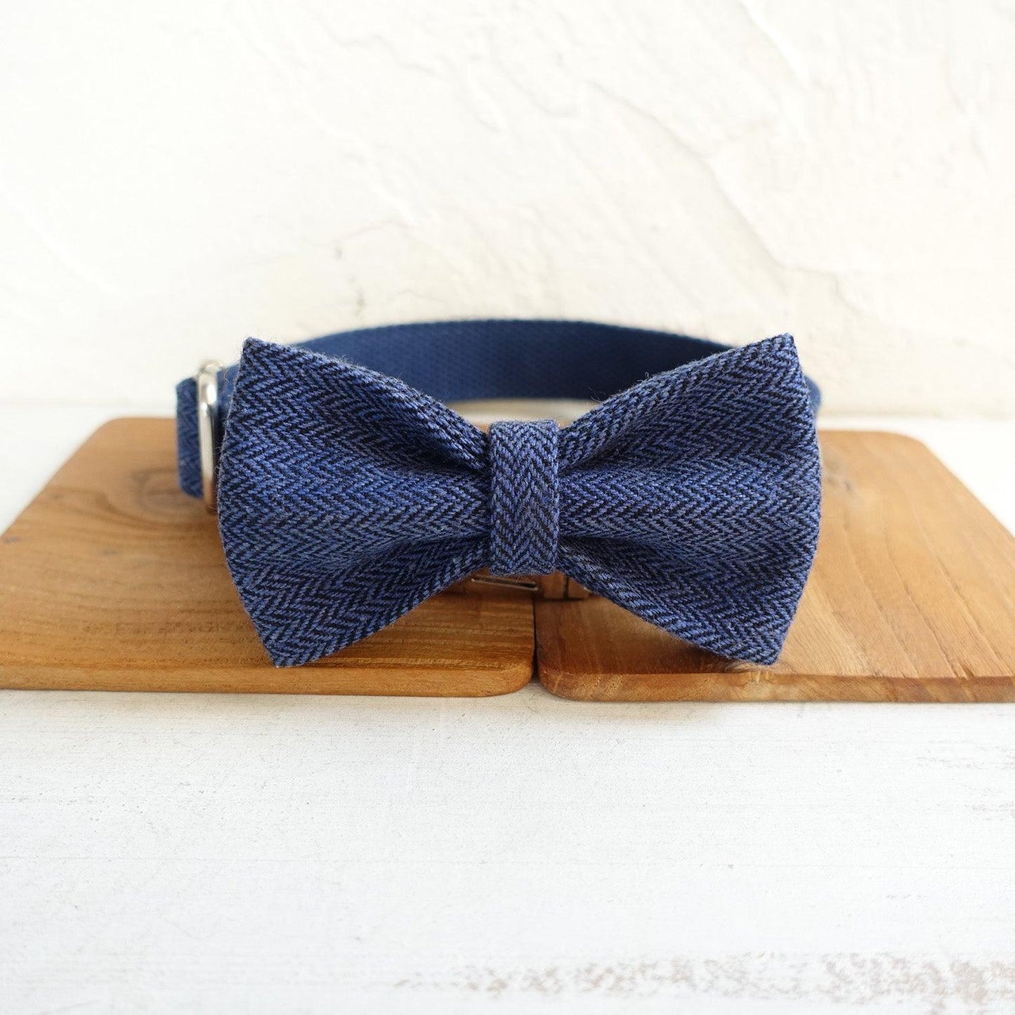 Navy Suit Personalized Dog Collar Set - iTalkPet
