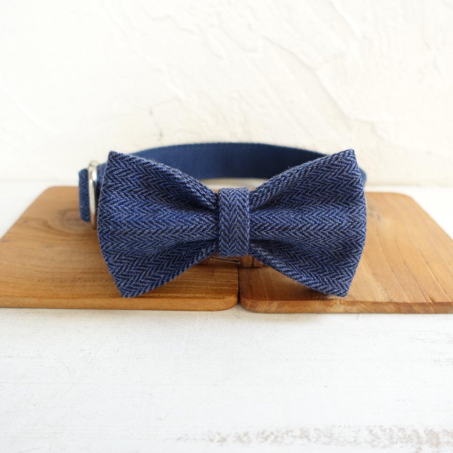 Navy Suit Personalized Dog Collar Set - iTalkPet