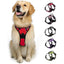 No-Pull Pet Dog Harness with 2 Clips - Adjustable Soft Padded Dog Vest - iTalkPet