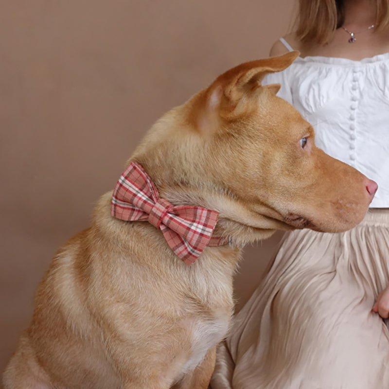 Orange Pink Plaid Personalized Dog Collar Set - iTalkPet