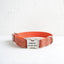 Orange Suit Personalized Dog Collar Set - iTalkPet