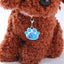 Paw Shape Personalized Pet ID Tag with Crystals - iTalkPet