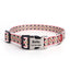 Personalized Colorful Custom Dog Collar with Engraved ID Name and Phone Number - iTalkPet