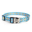 Personalized Colorful Custom Dog Collar with Engraved ID Name and Phone Number - iTalkPet