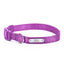 Personalized Dog Collar - Reflective Custom Embroidered with Pet Name and Phone Number - iTalkPet