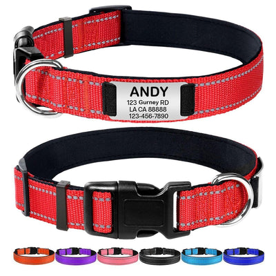 Personalized Dog Collar - Reflective Nylon Dog Collar with Engraved Name Plate - iTalkPet