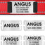 Personalized Dog Collar - Reflective Nylon Dog Collar with Engraved Name Plate - iTalkPet