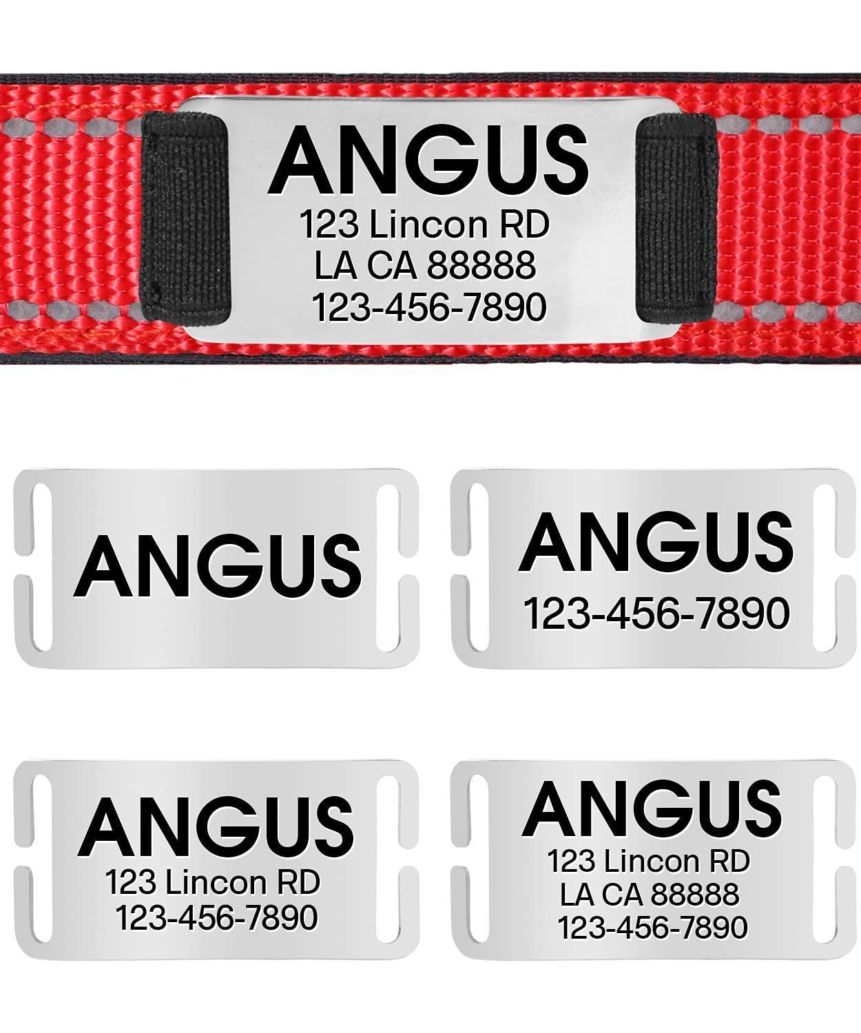 Personalized Dog Collar - Reflective Nylon Dog Collar with Engraved Name Plate - iTalkPet