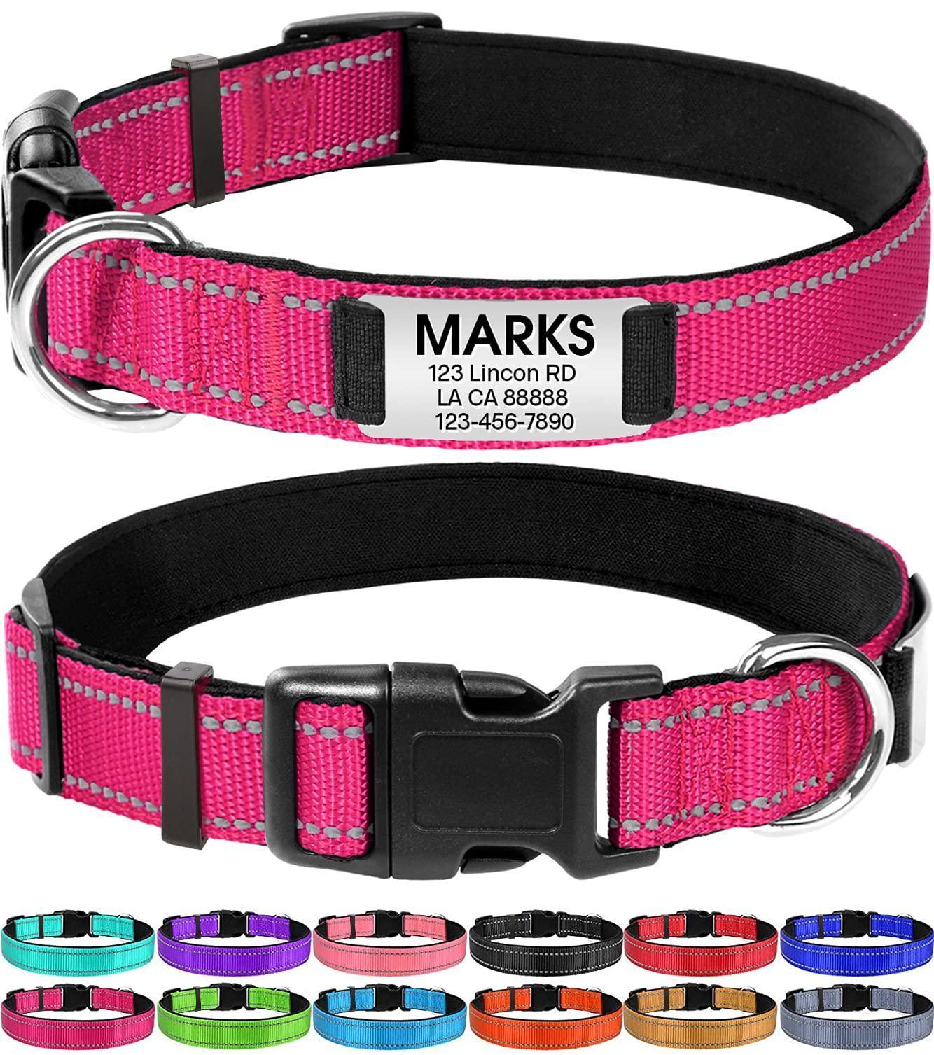 Personalized Dog Collar - Reflective Nylon Dog Collar with Engraved Name Plate - iTalkPet
