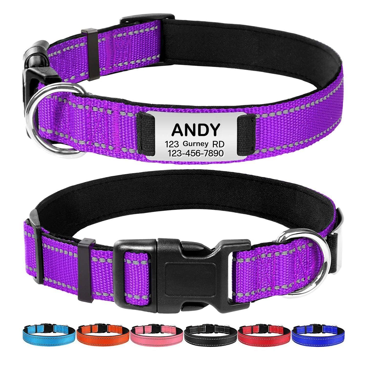 Personalized Dog Collar - Reflective Nylon Dog Collar with Engraved Name Plate - iTalkPet