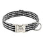 Personalized Dog Collar with Metal Buckle - Stripe Custom Pet Collars - iTalkPet