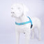 Personalized Dog Harness - Reflective Adjustable Customized Pet Harness - iTalkPet