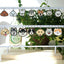 Personalized Pet Dog ID Tag - iTalkPet