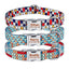 Personalized Print Custom Dog Collar - iTalkPet