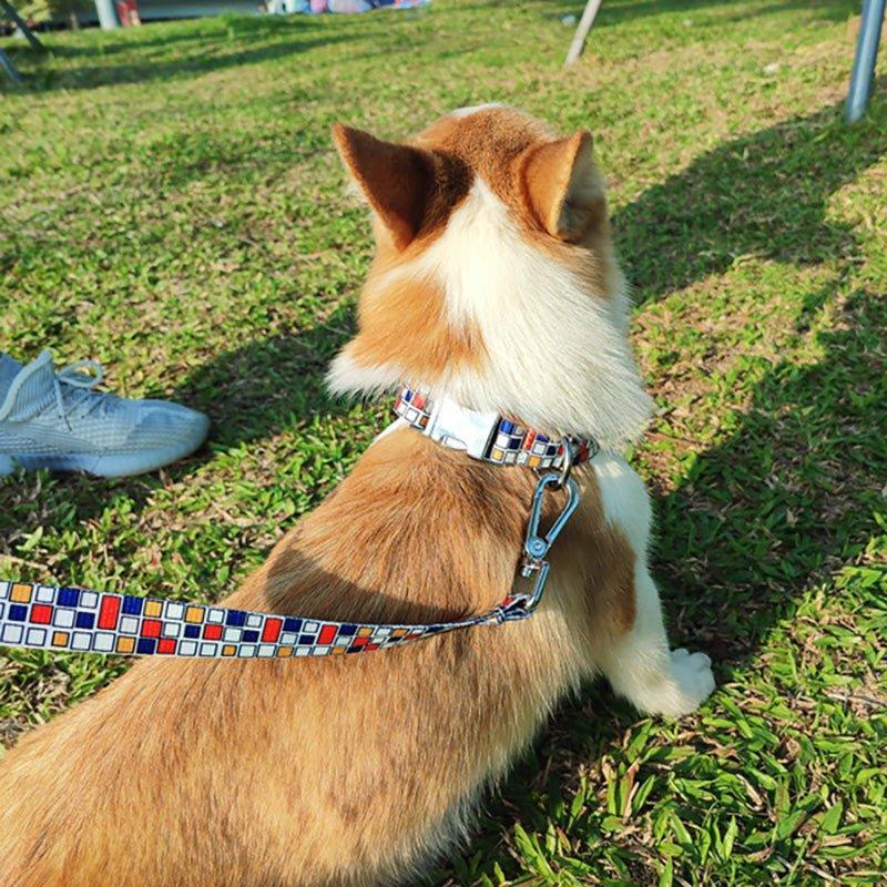 Personalized Print Custom Dog Collar - iTalkPet