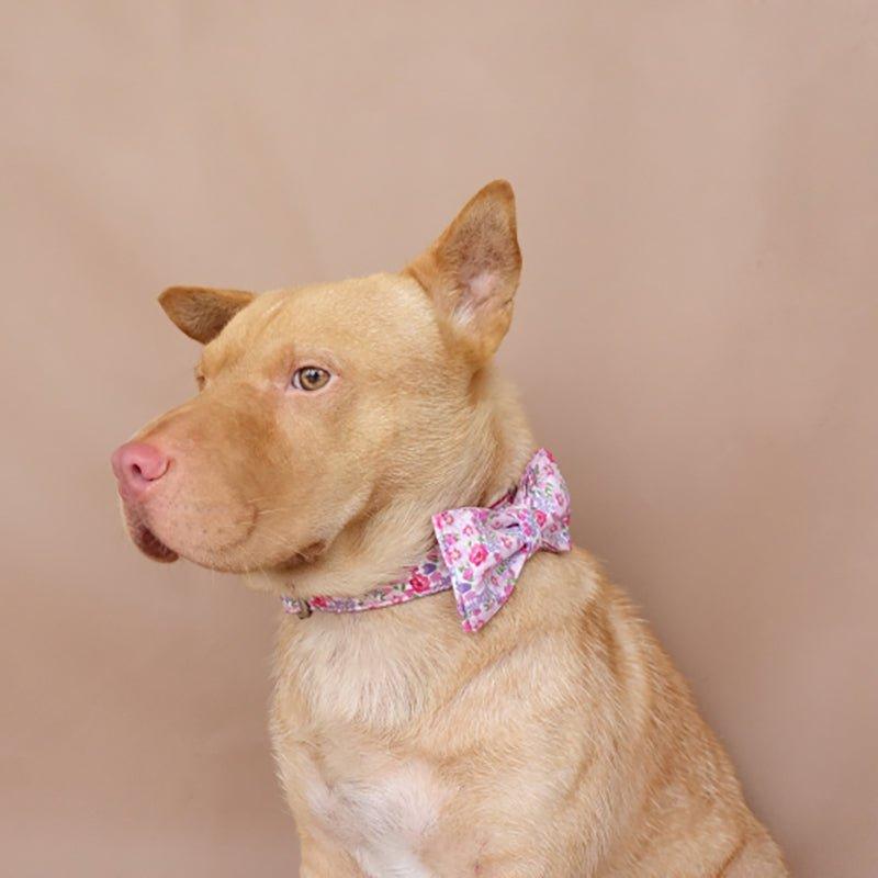 Pink Flower Personalized Dog Collar Set - iTalkPet