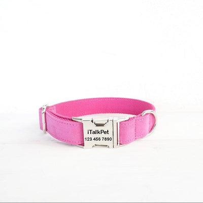 Pink Personalized Dog Collar Set - iTalkPet