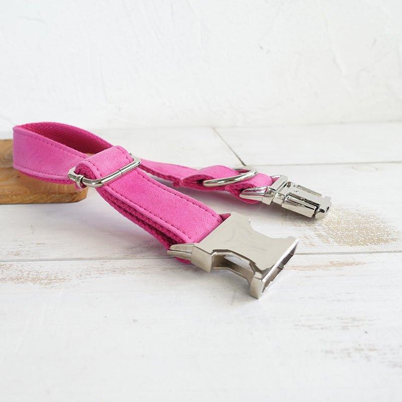 Pink Personalized Dog Collar Set - iTalkPet