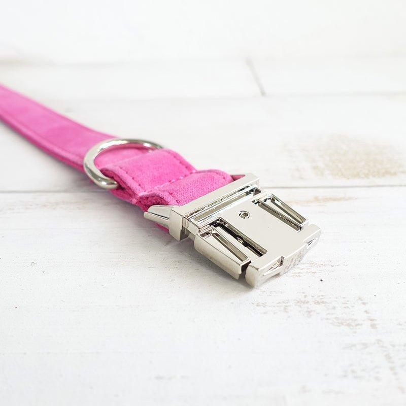 Pink Personalized Dog Collar Set - iTalkPet