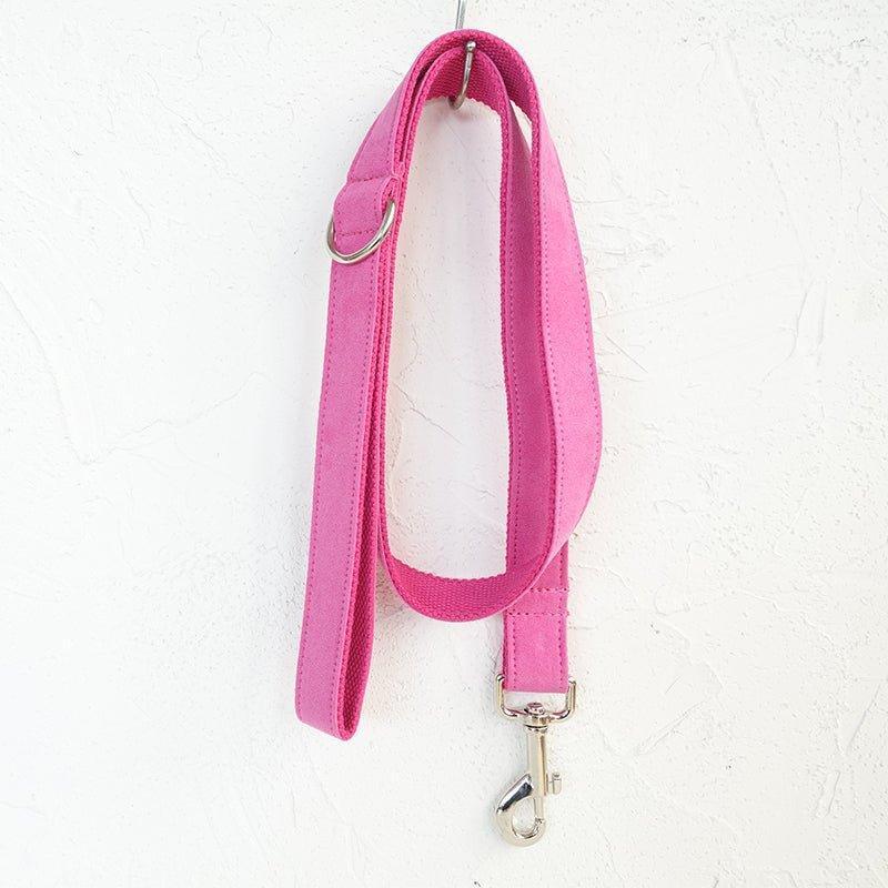 Pink Personalized Dog Collar Set - iTalkPet
