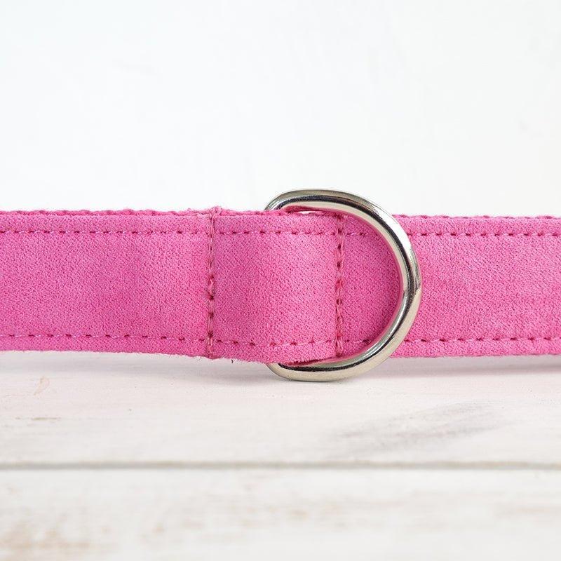 Pink Personalized Dog Collar Set - iTalkPet