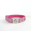 Pink Suit Personalized Dog Collar Set - iTalkPet