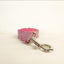 Pink Suit Personalized Dog Collar Set - iTalkPet