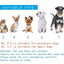 Protector with Reflective Strap Anti-Slip Dogs Boot 4PCS - iTalkPet