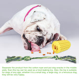 Puppy Toothbrush Clean Teeth Interactive Corn Chew Toys - iTalkPet