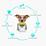 Puppy Toothbrush Clean Teeth Interactive Corn Chew Toys - iTalkPet