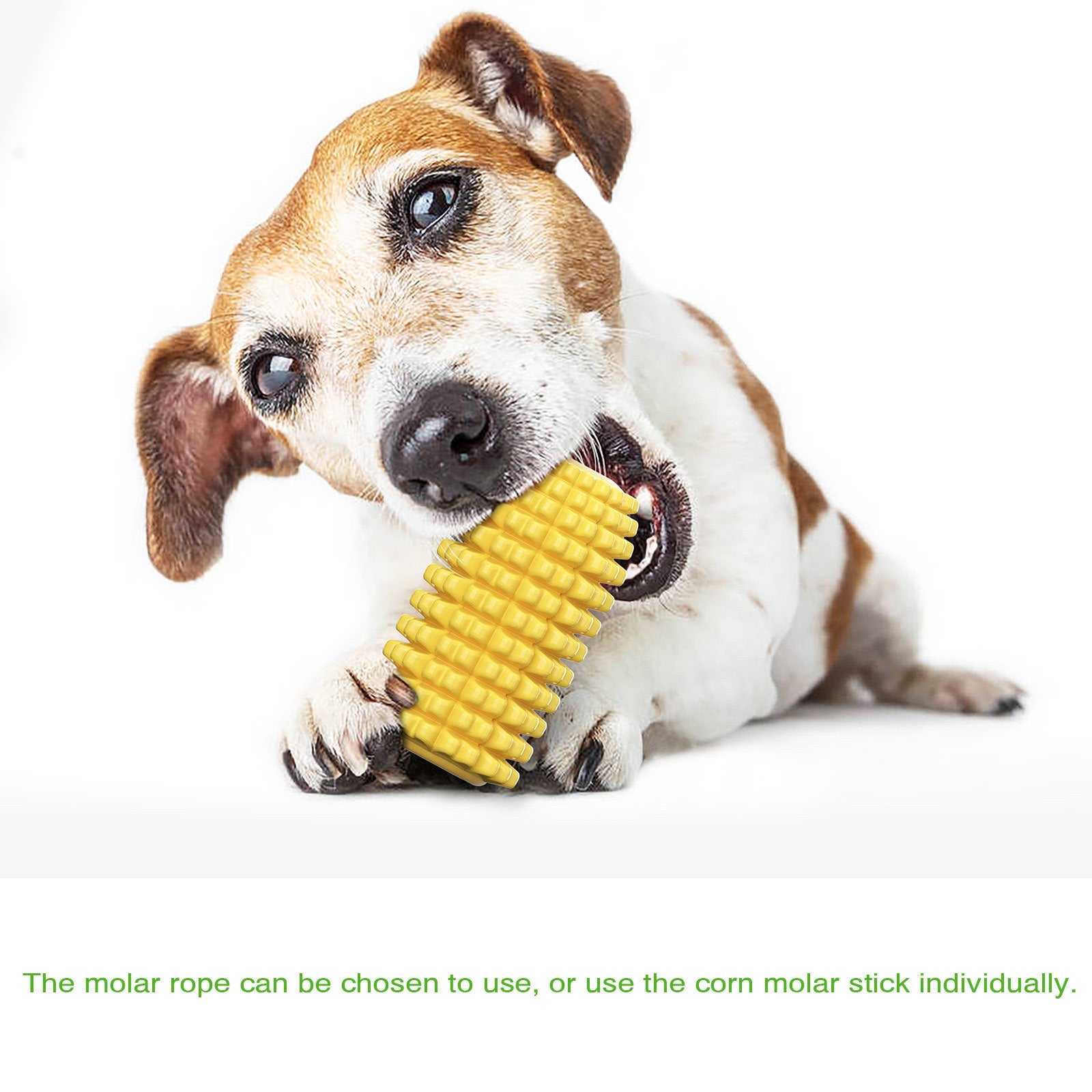 Puppy Toothbrush Clean Teeth Interactive Corn Chew Toys - iTalkPet