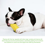 Puppy Toothbrush Clean Teeth Interactive Corn Chew Toys - iTalkPet