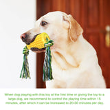 Puppy Toothbrush Clean Teeth Interactive Corn Chew Toys - iTalkPet