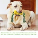 Puppy Toothbrush Clean Teeth Interactive Corn Chew Toys - iTalkPet