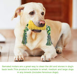 Puppy Toothbrush Clean Teeth Interactive Dog Chew Corn Toys - iTalkPet