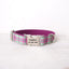 Purple Mint Plaid Personalized Dog Collar Set - iTalkPet