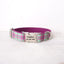 Purple Mint Plaid Personalized Dog Collar Set - iTalkPet
