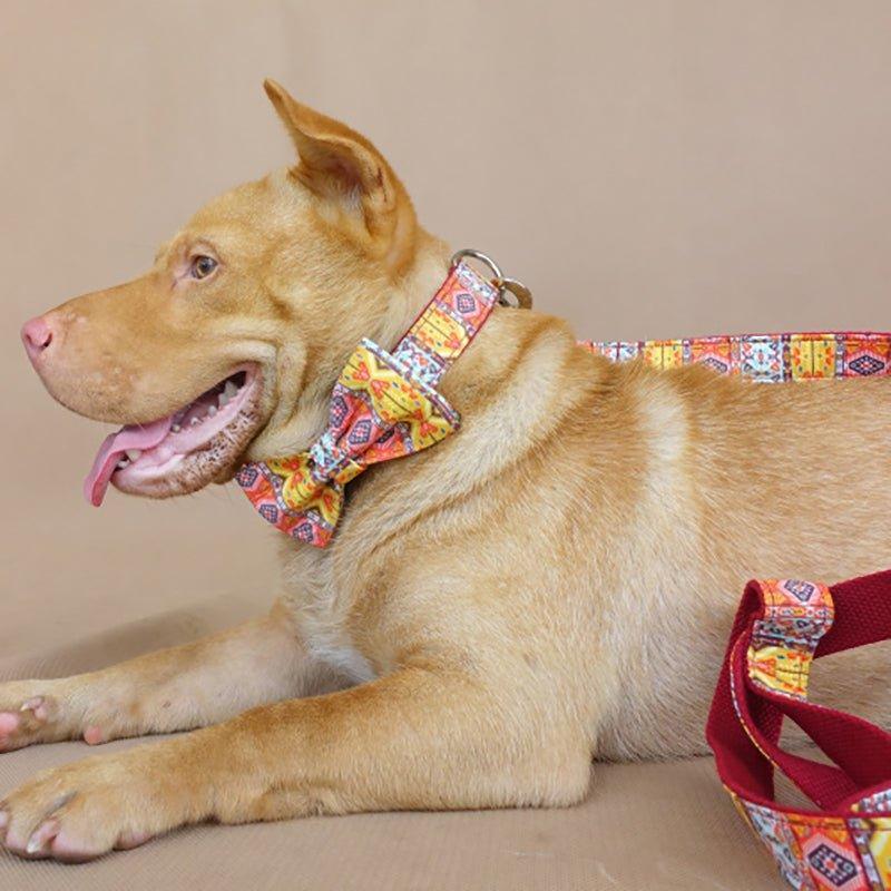 Red Bohemian Personalized Dog Collar Set - iTalkPet