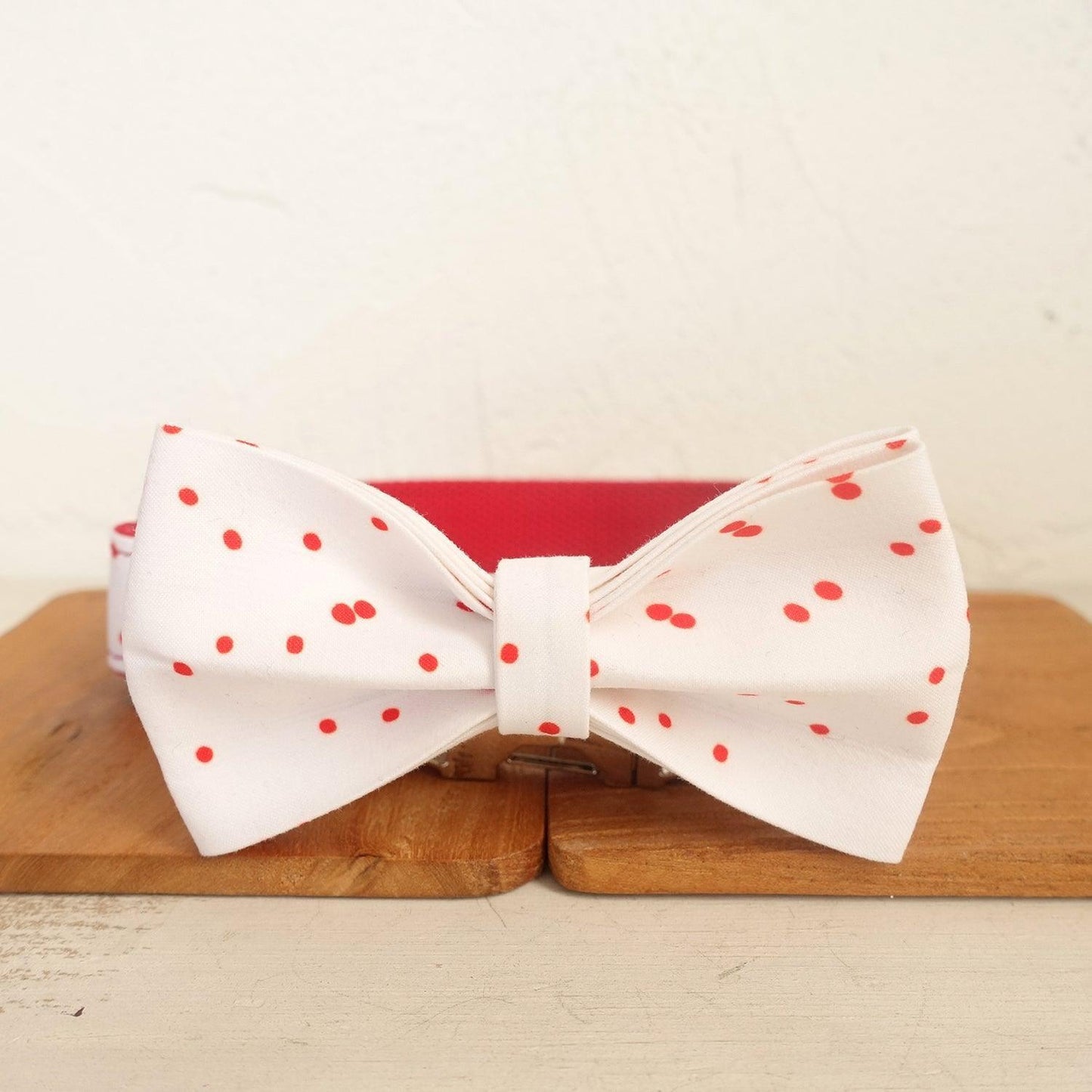 Red Ink White Personalized Dog Collar Set - iTalkPet