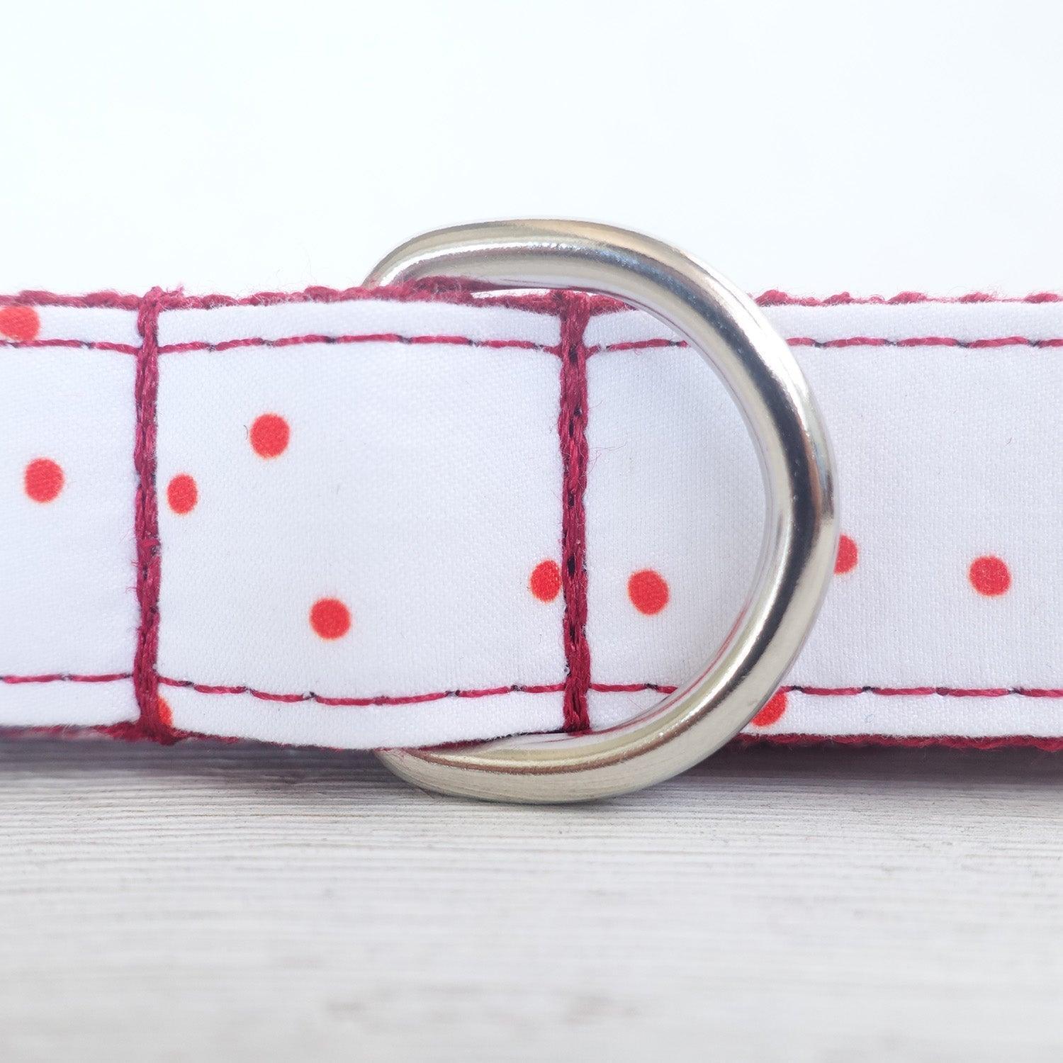 Red Ink White Personalized Dog Collar Set - iTalkPet
