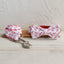 Red Leaf White Personalized Dog Collar Set - iTalkPet