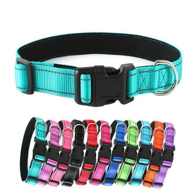 Reflective Dog Collar - Adjustable Soft Neoprene Padded Breathable Nylon Pet Collar - iTalkPet