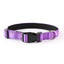 Reflective Dog Collar - Adjustable Soft Neoprene Padded Breathable Nylon Pet Collar - iTalkPet
