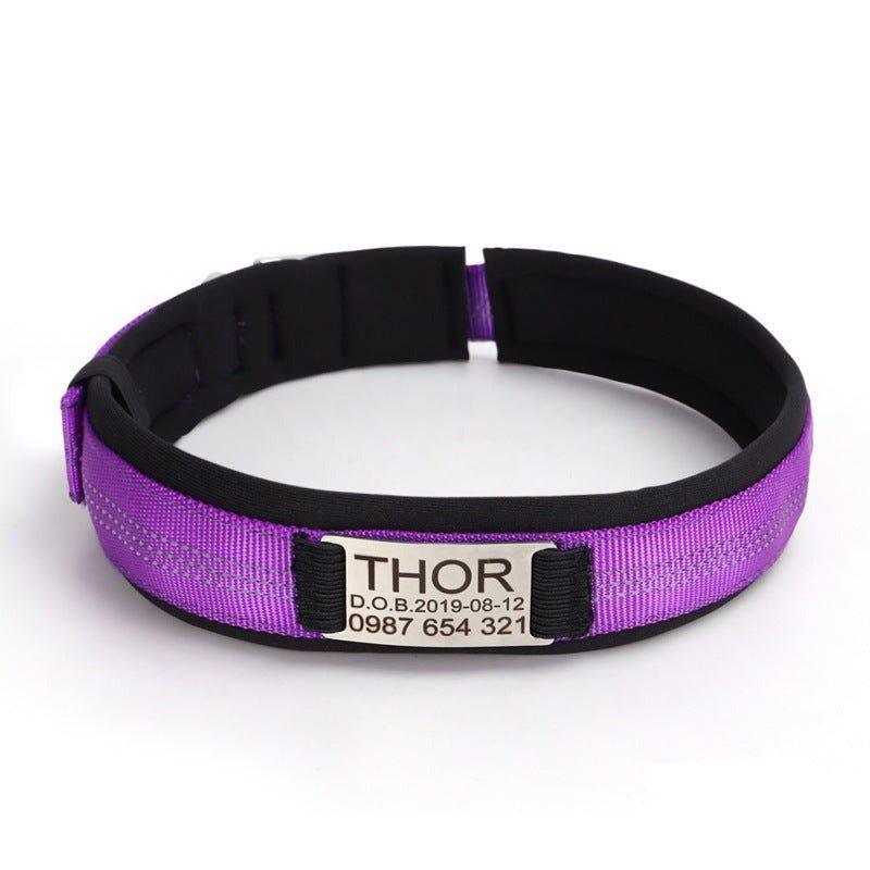 Reflective Engraved Nylon Dog Collar Personalized with Slide on ID Tag - iTalkPet