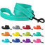 Reflective Nylon Dog Leash - iTalkPet